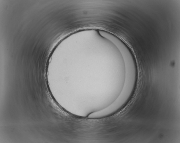 X0000115100797200912081257