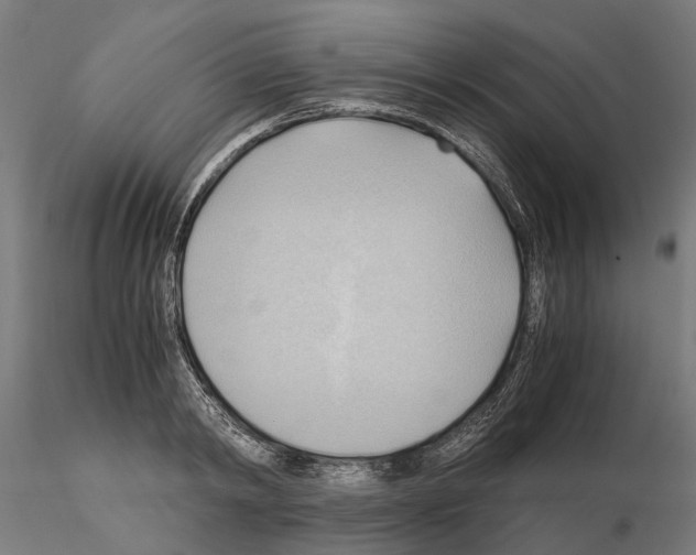 X0000115100798200912081257