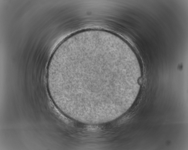 X0000115100799200912081257