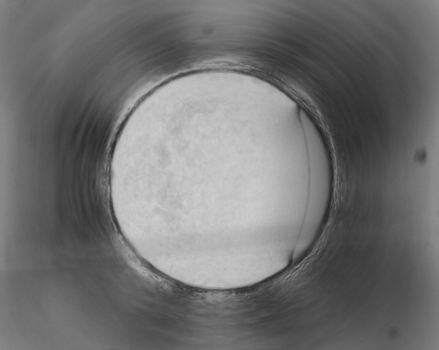 X0000115100800200912081257