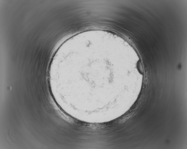 X0000115100803200912081257