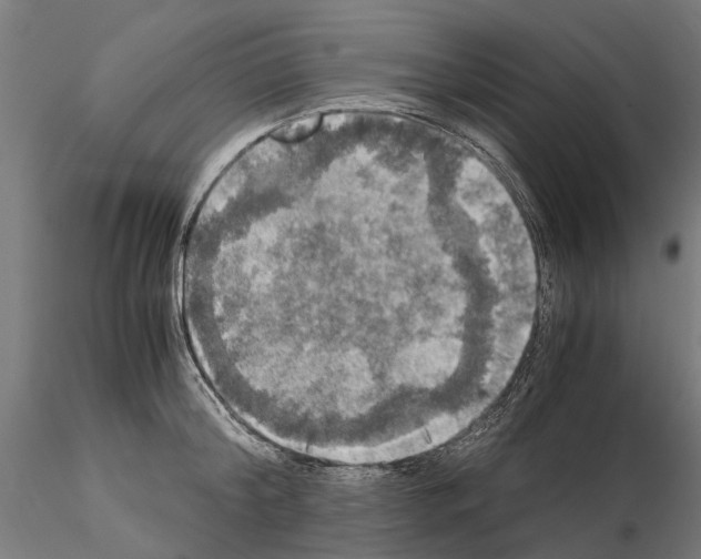 X0000115100804200912081257