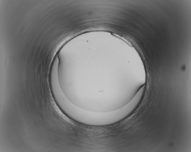 X0000115100805200912081257