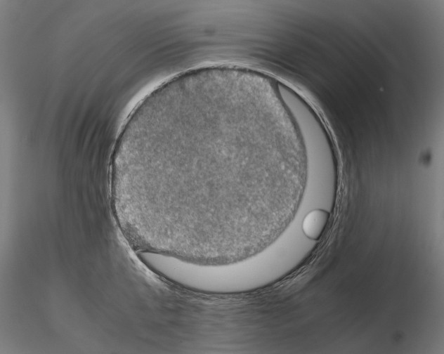 X0000115100807200912081257