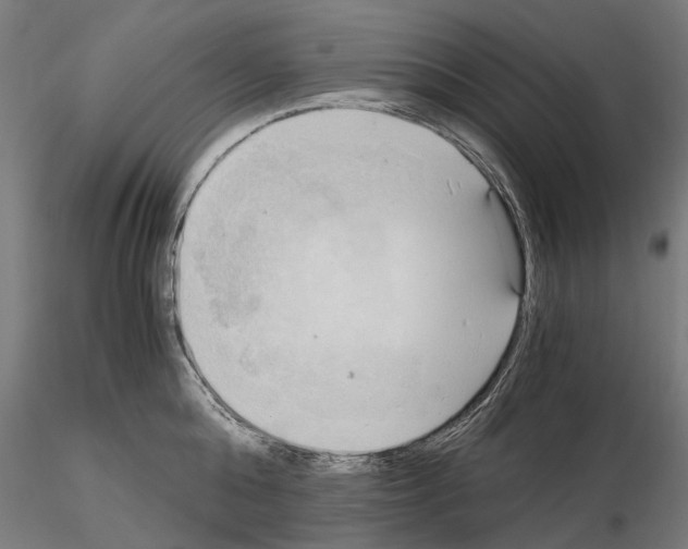 X0000115100808200912081257