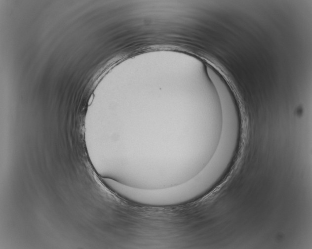 X0000115100809200912081257