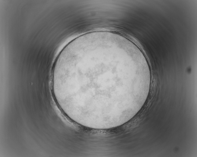 X0000115100811200912081257