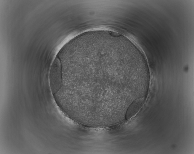 X0000115100813200912081257