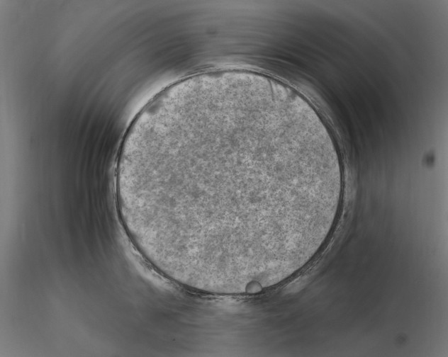 X0000115100814200912081257