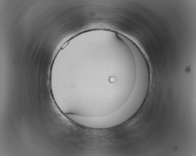 X0000115100815200912081257