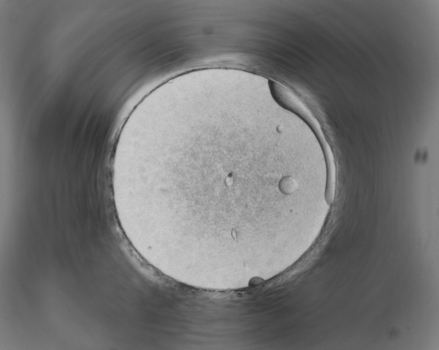 X0000115100816200912081257