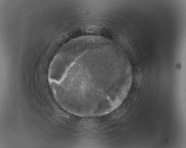 X0000115100817200912081256