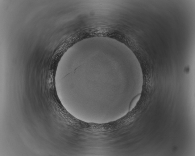 X0000115100818200912081256