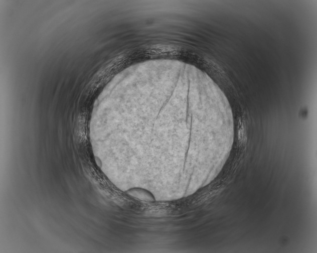 X0000115100819200912081256