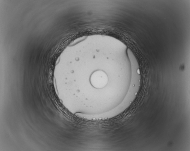 X0000115100820200912081256