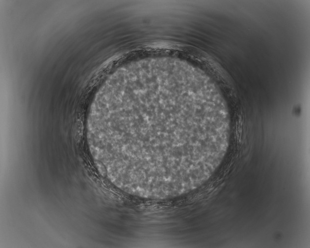 X0000115100821200912081256