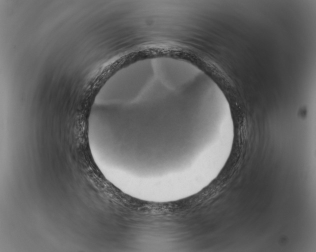 X0000115100822200912081256