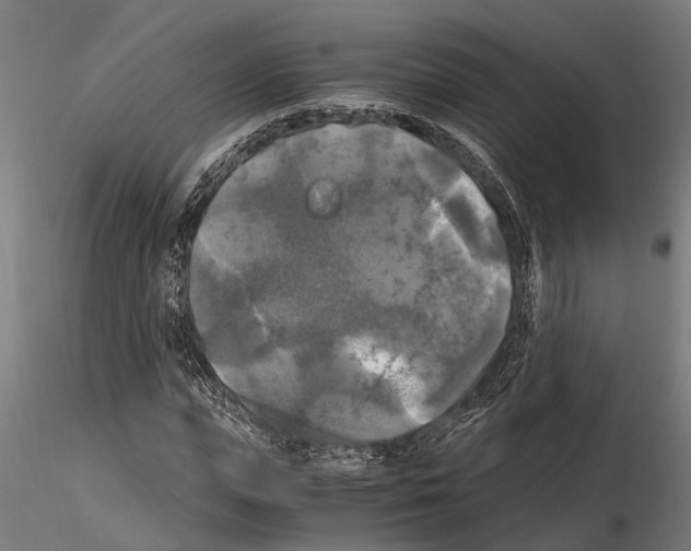 X0000115100823200912081256