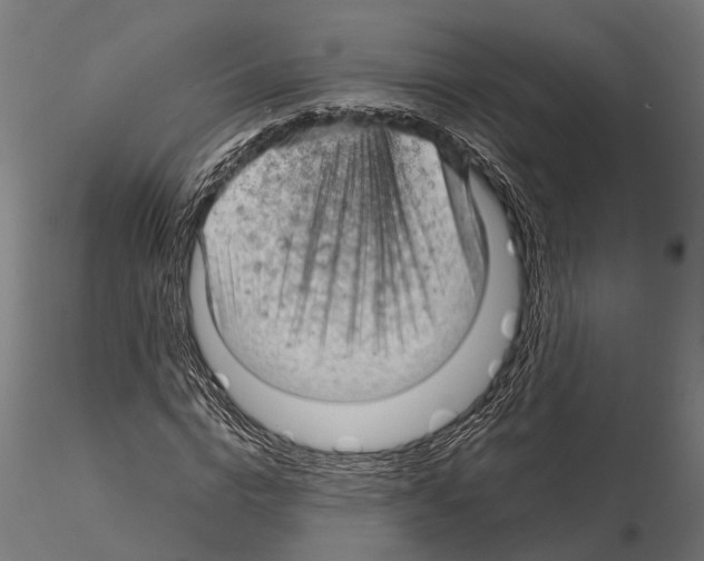 X0000115100824200912081256