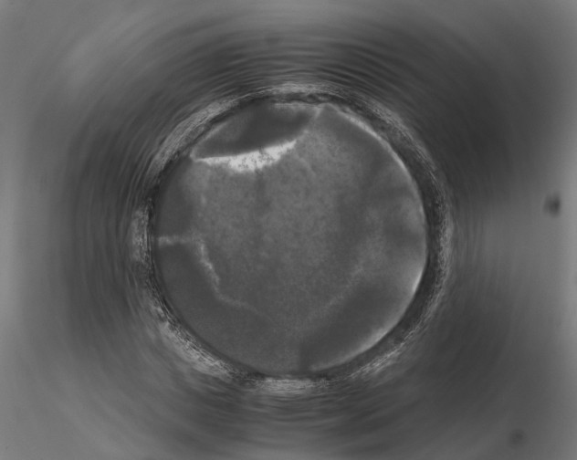 X0000115100825200912081256