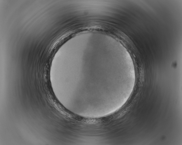 X0000115100826200912081256