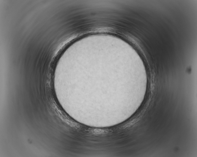 X0000115100827200912081256