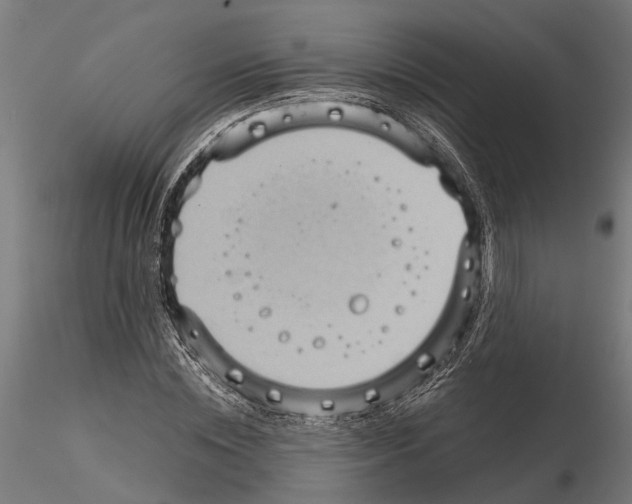 X0000115100828200912081256