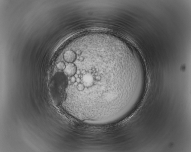 X0000115100829200912081256