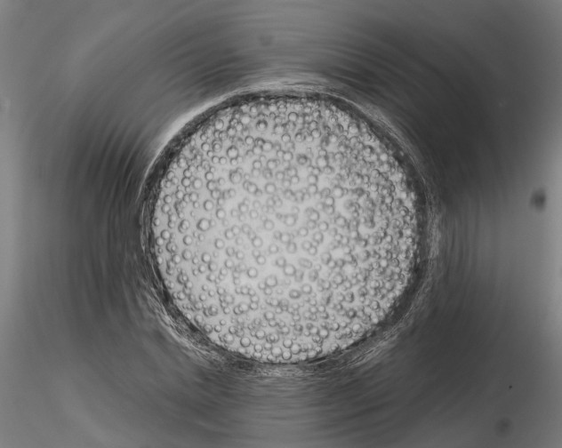 X0000115100830200912081256