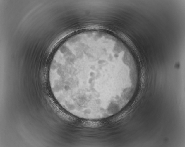 X0000115100831200912081256