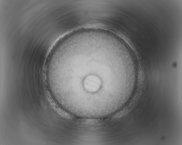 X0000115100832200912081256