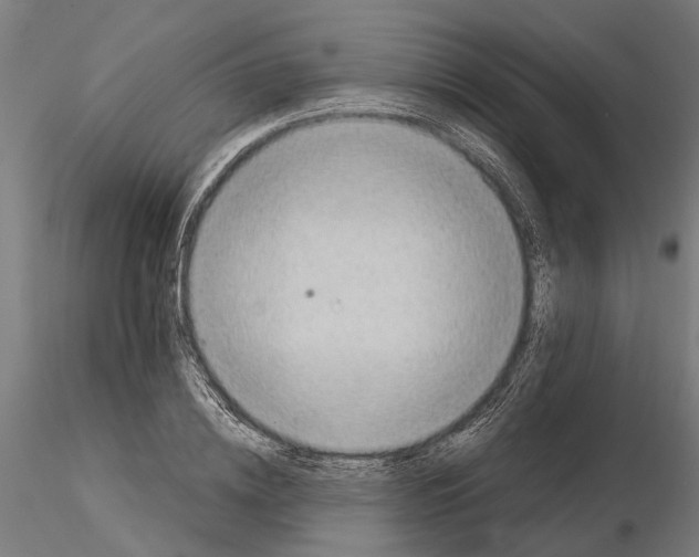 X0000115100836200912081257