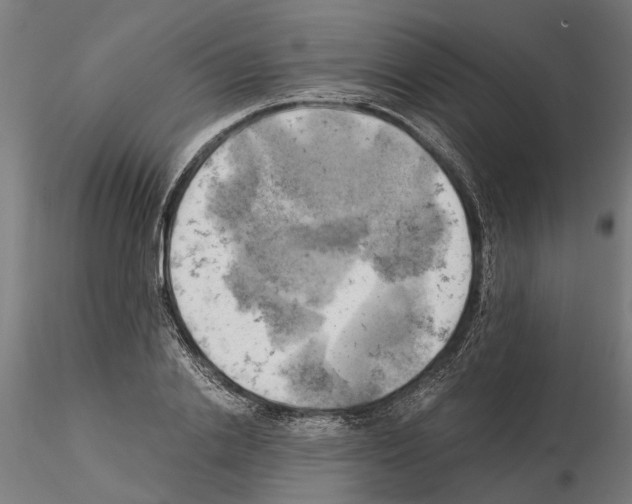 X0000115100838200912081257