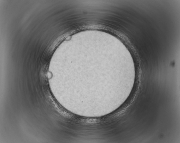 X0000115100841200912081257