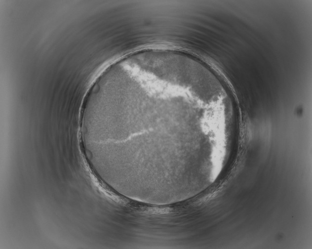 X0000115100845200912081257