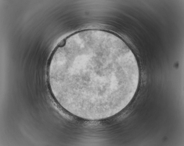 X0000115100846200912081257