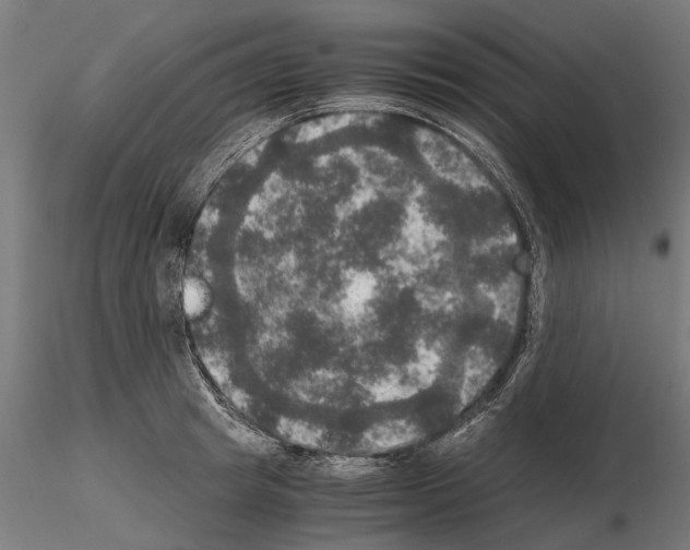 X0000115100849200912081257