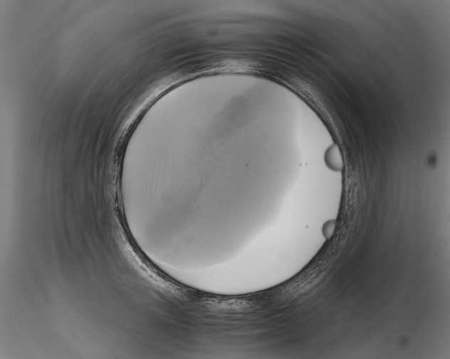 X0000115100851200912081257