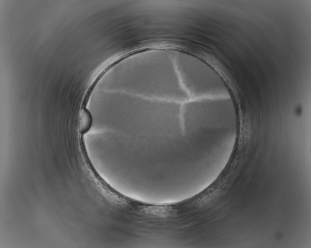 X0000115100853200912081257