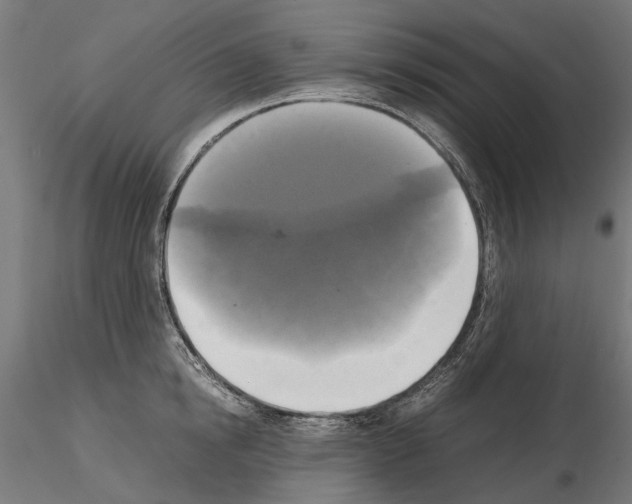 X0000115100854200912081257