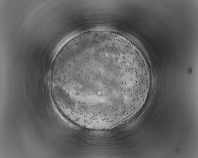 X0000115100855200912081257