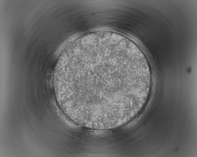 X0000115100857200912081257