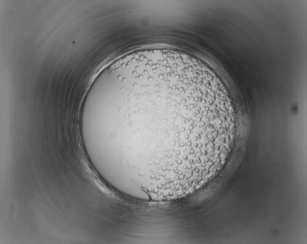 X0000115100858200912081257