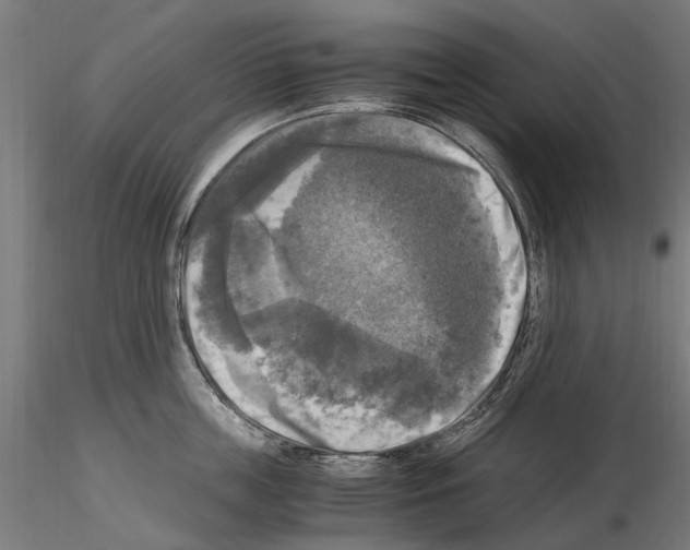 X0000115100859200912081257