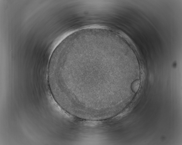 X0000115100860200912081257