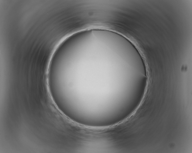 X0000115100864200912081257