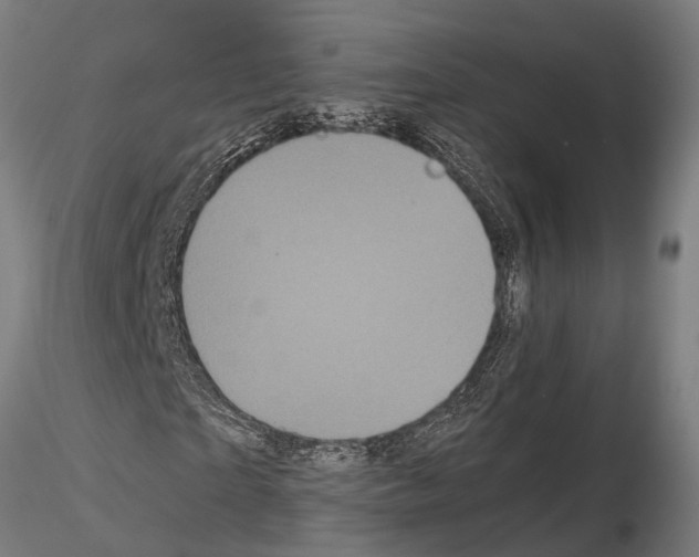 X0000115100865200912081256