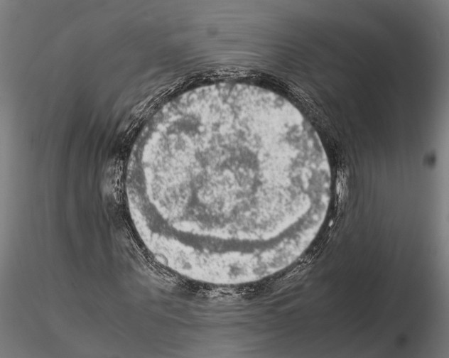 X0000115100867200912081256