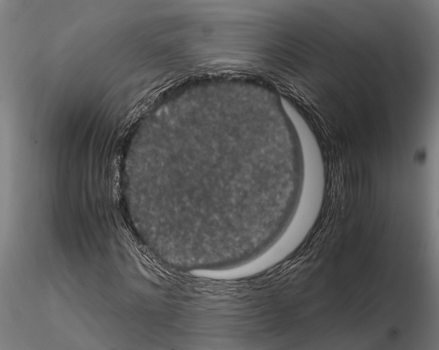 X0000115100868200912081256