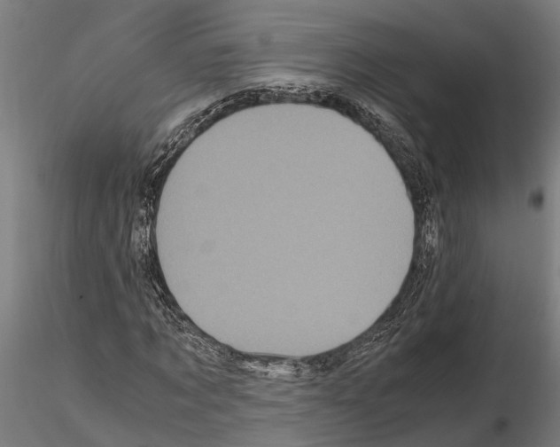 X0000115100869200912081256